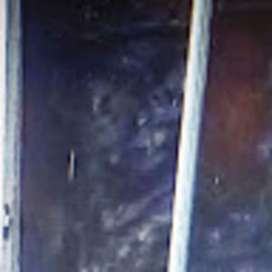 Meet your Posher, Larry